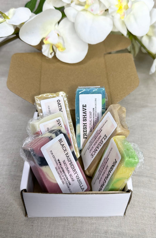 Mini Soap Sample Set